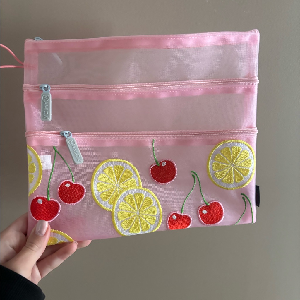 Brand New Mesh Cosmetics Bag